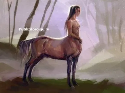 За стволови клетки