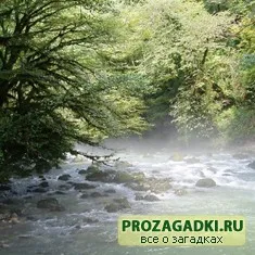 Откъде водните детски пъзели, игри, гатанки, разкази и още много ви очаква в нашия уютен и