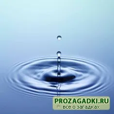 Откъде водните детски пъзели, игри, гатанки, разкази и още много ви очаква в нашия уютен и
