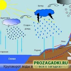Откъде водните детски пъзели, игри, гатанки, разкази и още много ви очаква в нашия уютен и