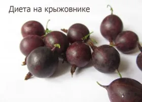 Овесена каша диета 7 дни как да се готви каша правилно (диета) Овесена каша диета 7 дни как да се готви каша правилно