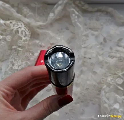 Преглед на Taser-Lantern оса 1202 тип самостоятелно отбранителна фенерче никой няма да предполагам, че това е
