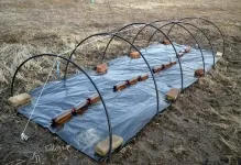 Парниковите краставици на снимката си ръце Как да си направим оранжерия, построени правилно, видео и краставица