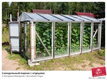 Оранжерии за краставици със собствените си ръце Оранжерии за краставици със собствените си ръце