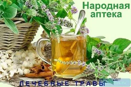 Полезно треви лечение на различни заболявания