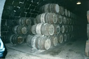 Порт вино (старт), winestep