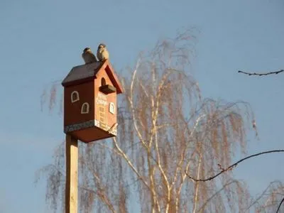 Правилно къщичка с ръцете си 1