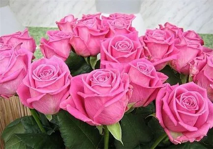 Lovely Rose! О, царствен, колко сте добри! Блогът е нощ и три