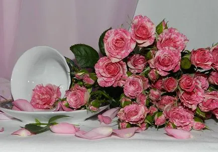 Lovely Rose! О, царствен, колко сте добри! Блогът е нощ и три