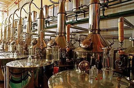 Hogyan lehet megkülönböztetni a hamis tequila Olmeca a jelei a hamisított áruk