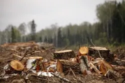 Процесът на сондажни кладенци методи, усложнения
