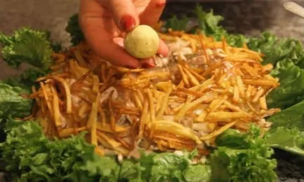 Лесни и вкусни салати с пиле - стъпка по стъпка рецепти със снимки