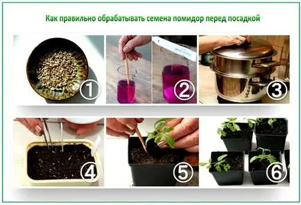 Домати разсад вкъщи, когато растението е да расте, и т.н.