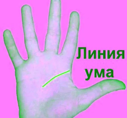 Дешифрирането въдици върху дланта на вашата съдба