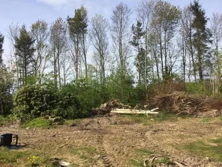 Ремонт на стари дървени къщи със собствените си ръце 63 снимка