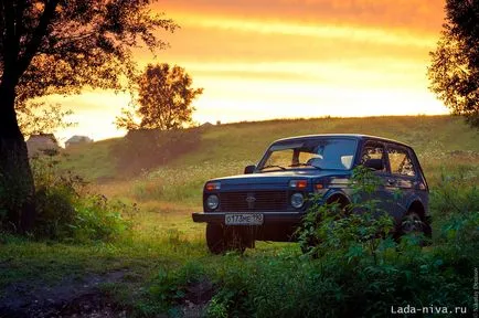 ремонт ръководство Lada Niva 4x4 вази 21213, 21214, 2131 изтегляне