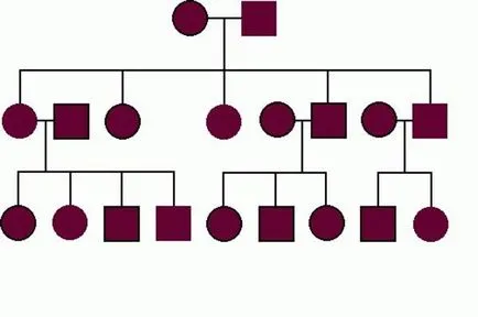 Родословно дърво със своите собствени ръце, снимки