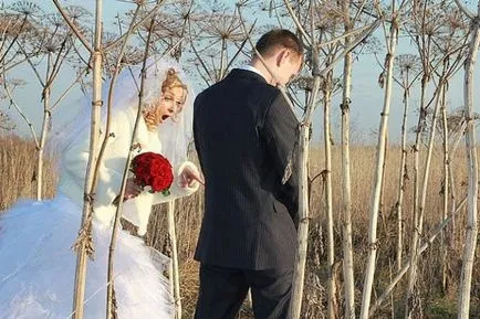 Таксите за сватба снимка