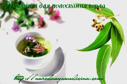 Sage, евкалипт, лайка прави гаргара, блог Алена Кравченко (изплакване) Sage, евкалипт, лайка за гаргара, блог Алена Кравченко