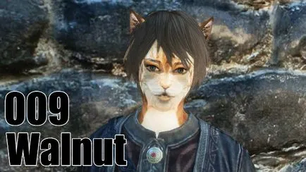 Skyrim как да използвате Dragon Soul да проучи писъците