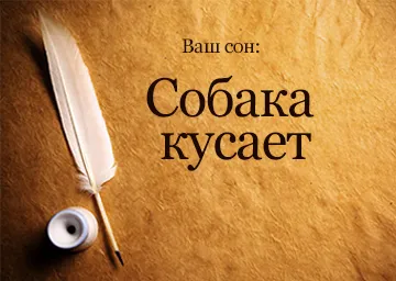 Тълкуване на сънища куче хапе да мечтаеш какво мечти (виж) Дрийм Тълкуване куче хапе да мечтаеш какво се превръщат мечтите