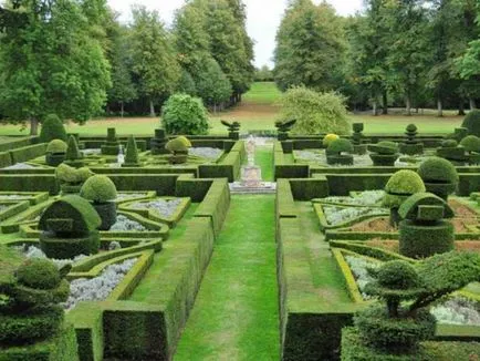 Създаване Topiary как да се направи дървета на щастието
