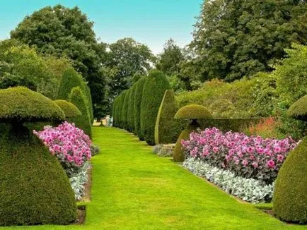 Създаване Topiary как да се направи дървета на щастието