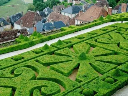 Създаване Topiary как да се направи дървета на щастието