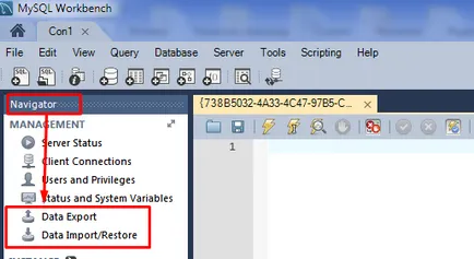 Hogyan lehet mozgatni mysql adatbázis