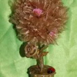 Topiary и дървета, кутия идеи и семинари