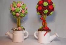Topiary с ръцете си за начинаещи стъпка по стъпка снимки и майсторски клас, трябва да се как да се направи,