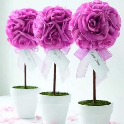 Topiary с ръцете си - това е бързо и лесно!
