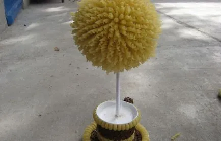 Topiary собствените си ръце у дома