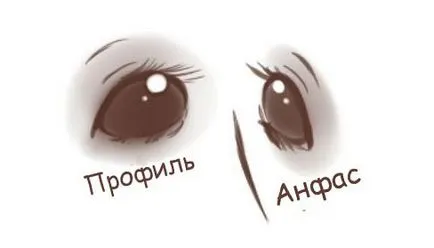 Научете как да се направи жираф