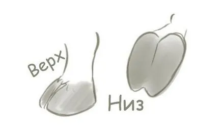 Научете как да се направи жираф