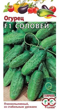 Устойчиви на болести сортове краставици - летни съвети