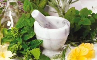 Узи лимфните възли на шията, която показва разшифроване, структура