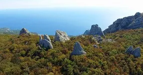 Обратно изкупуване на сватбата булката