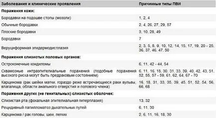 Човешки папилома вирус снимка, симптоми и лечение