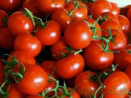 Отглеждане на домати разсад засаждане грижи и кацане на лехата