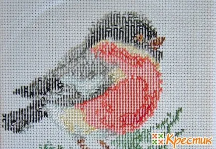 Cross Stitch за начинаещи vyshivalschisch