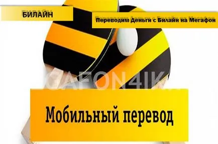 Hogyan lehet pénzt egy hangszóró a Beeline - utasítás át pénzt Beeline hangszóró