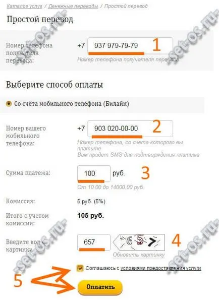 Hogyan át pénzt Beeline, Megafon, hogyan kell beállítani