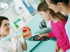 На колко години първите бебешки зъби падат на детето (Health) На колко години първите бебешки зъби падат на детето