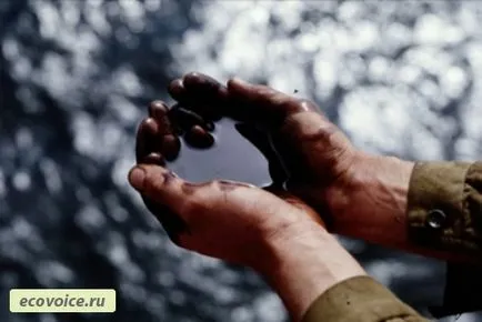Търсенето еколог професия в съвременния свят