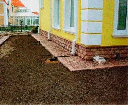 порти вас