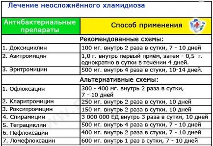 Chlamydia в женски и мъжки симптоми, диагностика, лечение, oslozhenenija хламидия (симптоми) Chlamydia в женски и мъжки симптоми, диагностика, лечение,, oslozhenenija хламидия