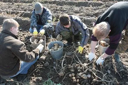 Здраве пращене и се изправяш стави приложения - Вечерни Петербург