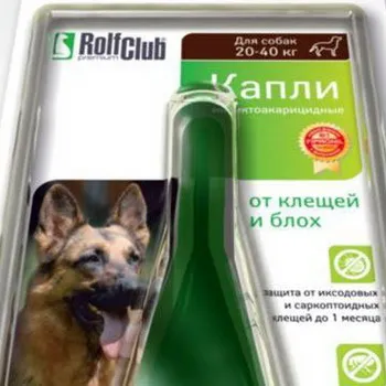 Антибиотици за кучета