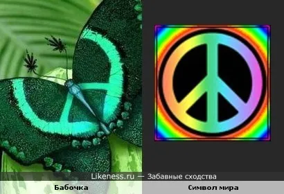 Butterfly като човек